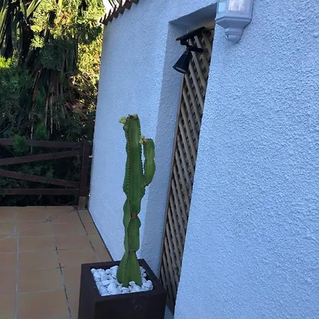 Vakantiehuis La Paloma
